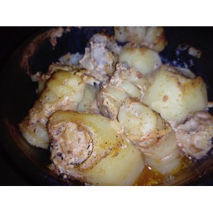 ������������� ���������