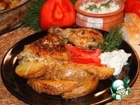 �������� �����������