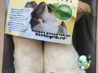 ������ ������� �����������