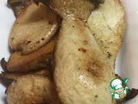 ������ ������� �����������