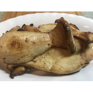 ������ �������