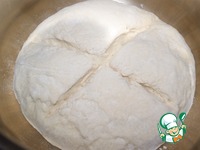 ���� "���������" �����������