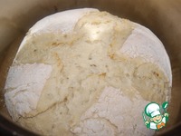 ���� "���������" �����������