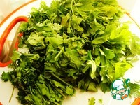 ����� ���� �� ������ �����������