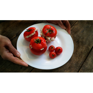 ������������� ��������