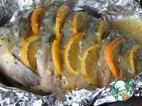 ���� � ������������ ������� �����������