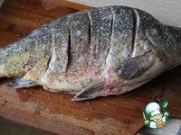 ���� � ������������ ������� �����������