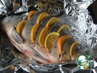 ���� � ������������ ������� �����������