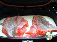 ������ � �������� ��� ������������ ��������� �����������