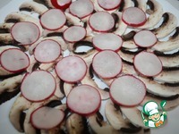 �������� �� ����������� � ������ �����������