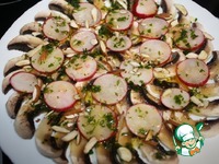 �������� �� ����������� � ������ �����������