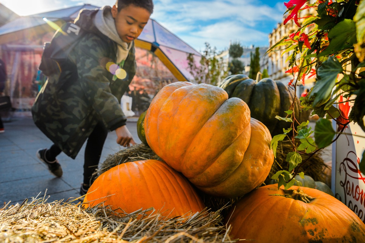 ������ ������� �������������� �������� ��������� �������� ������