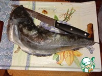 ������� ������ �����������