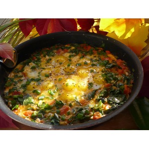 ������� �� �������� � ����������