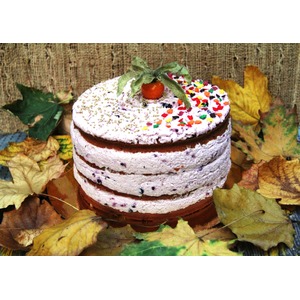 ������-��������� ����