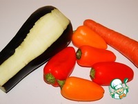 ������ � ����� ��-�������� �����������