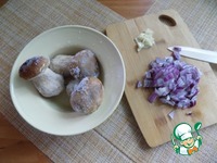 ������������ ������ � ������ ������� �����������