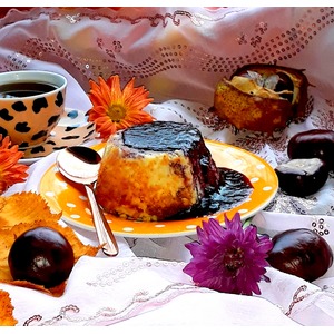 ��������� ����������