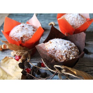 ������� �� ��������� �������