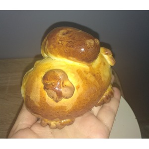 ������� "���������-�����"