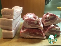 ���� � �������� ��������� �������� �����������