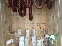 ���� � �������� ��������� �������� �����������