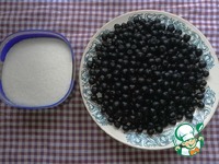 ������������ ������ � ��� �����������