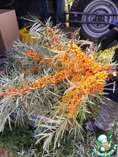 ��������� ��������