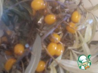 ������� �� ������ ������ � �������� �����������