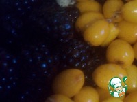 ������� �� ������ ������ � �������� �����������