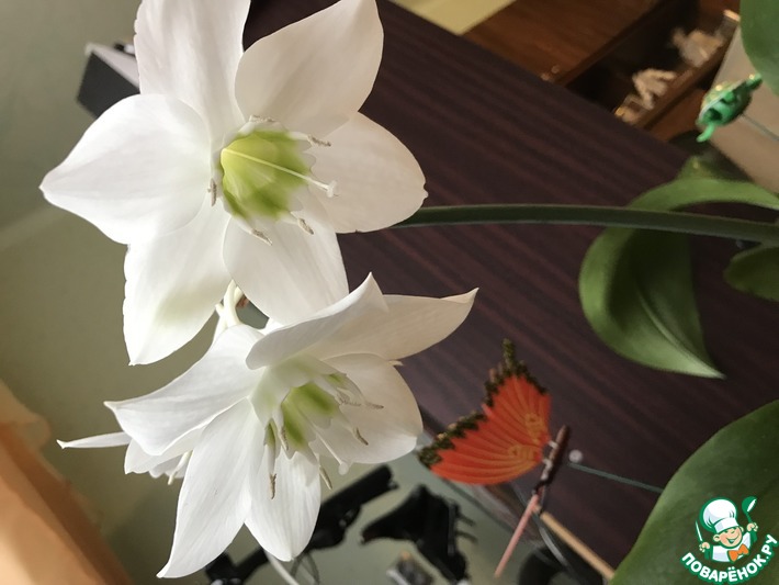 ��� ������� �������.