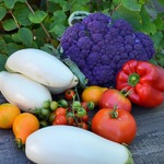 �������� ��������� ������