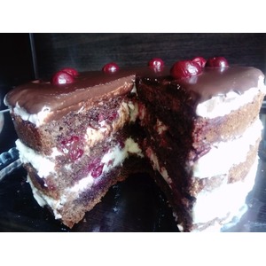 ���� "������ �����"