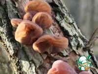 ����������� ����� �� �������� �����������