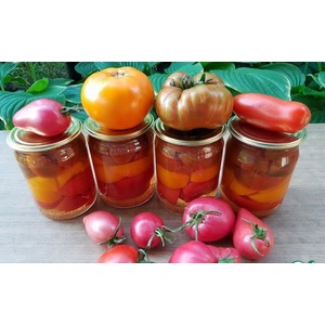 �������� � ����