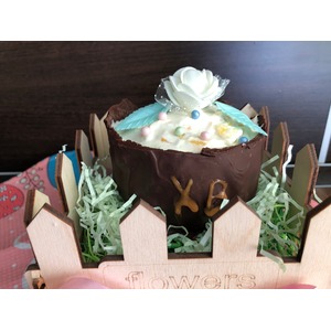 ���������� ���������� ����