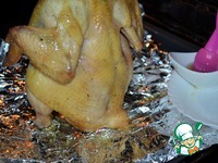 ������ �����-������ �����������