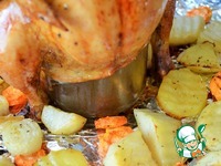 ������ �����-������ �����������