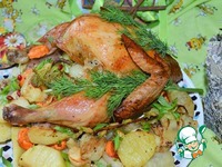 ������ �����-������ �����������