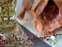 ������ �����-������ �����������