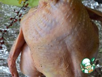 ������ �����-������ �����������