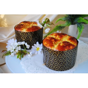 ����������� ����� "���������"