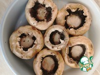 ���������� � ����������� ����� � ������� �����������