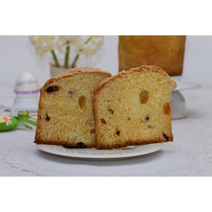 ������������ ��������� �� �������