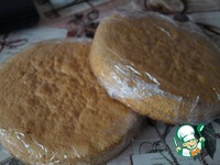 ��������-��������� ���� �����������