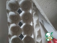 ��������� ��� ��� �����������