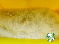 ����-���������� ������������ ������� �����������