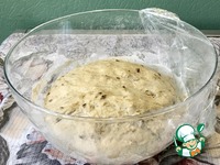 ���� ����������� �����������