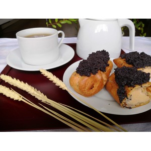 ������ � �����