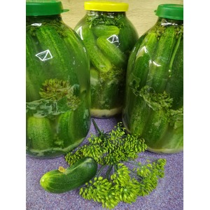 ������ ������� � ��������